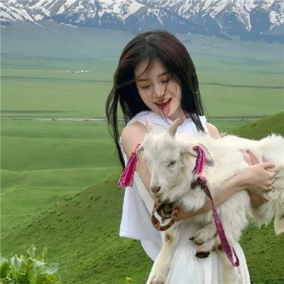 猎赝海报
